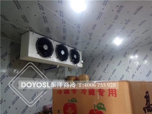 廣州水果富果佳水果保鮮冷庫工程案列，冷庫，冷庫造價表 ，冷庫建造 ，冷庫除濕機， 冷庫安裝，2019冷庫補貼政策，500立方冷庫造價表 ，60立方冷庫用幾p外機，100平方冷庫造價， 農(nóng)村冷庫建造方法， 冷庫工程報價表，教你如何經(jīng)營冷庫生意， 動遷冷庫按多少錢一平 ，冷庫前景及利潤