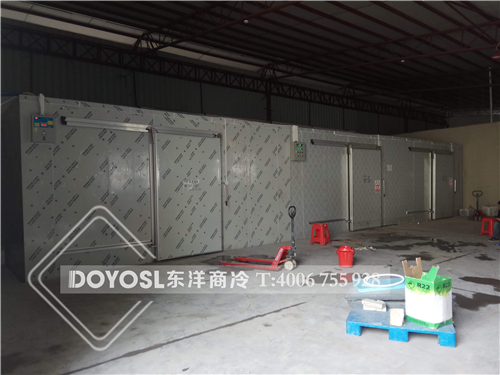 廣州水果富果佳水果保鮮冷庫工程案列，冷庫，冷庫造價表 ，冷庫建造 ，冷庫除濕機， 冷庫安裝，2019冷庫補貼政策，500立方冷庫造價表 ，60立方冷庫用幾p外機，100平方冷庫造價， 農(nóng)村冷庫建造方法， 冷庫工程報價表，教你如何經(jīng)營冷庫生意， 動遷冷庫按多少錢一平 ，冷庫前景及利潤