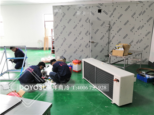 上海閔行區(qū)冷庫案例，冷庫，冷庫造價表 ，冷庫建造 ，冷庫除濕機， 冷庫安裝，2019冷庫補貼政策，500立方冷庫造價表 ，60立方冷庫用幾p外機，100平方冷庫造價， 農(nóng)村冷庫建造方法， 冷庫工程報價表，教你如何經(jīng)營冷庫生意， 動遷冷庫按多少錢一平 ，冷庫前景及利潤