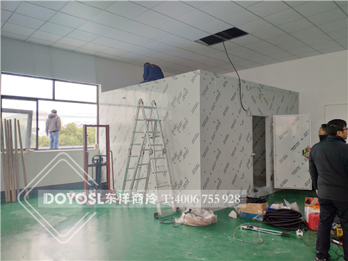 上海閔行區(qū)冷庫案例，冷庫，冷庫造價表 ，冷庫建造 ，冷庫除濕機， 冷庫安裝，2019冷庫補貼政策，500立方冷庫造價表 ，60立方冷庫用幾p外機，100平方冷庫造價， 農(nóng)村冷庫建造方法， 冷庫工程報價表，教你如何經(jīng)營冷庫生意， 動遷冷庫按多少錢一平 ，冷庫前景及利潤
